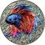 Niue 5 Dollars (Betta Fish)  coin reverse