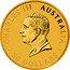 Australia 50 Dollars (Australian Kangaroo. On the Ground) CHARLES III AUSTRALIA 50 DOLLARS DT coin obverse
